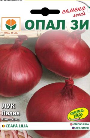 Hagyma Lilia Opal Bg