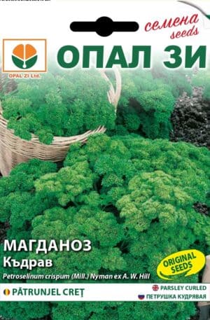 Petrezselyem levél Moss Curled Opal Bg