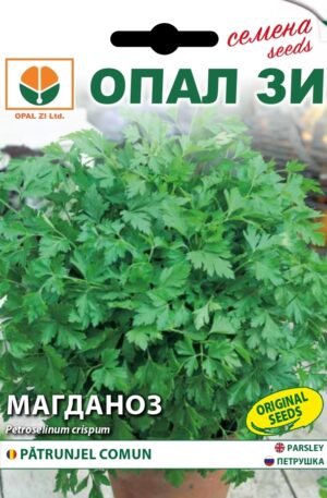 Petrezselyem levél Comon Opal Bg