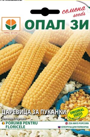 Pattogatni való kukorica Plomyk Opal Bg