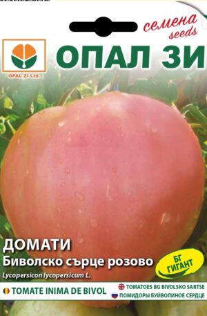 Paradicsom Bivolsko sarce pink Opal Bg