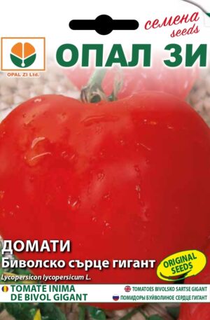 Paradicsom Bivolsko sarce gigant Opal Bg