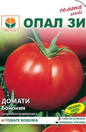 Paradicsom Bononia Opal Bg