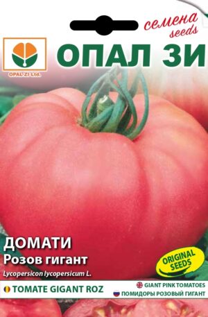 Paradicsom Giant Pink Opal Bg