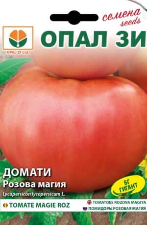 Paradicsom Rozova magia (Magie Roz) Opal Bg