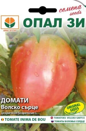 Paradicsom Volsko sartse Oxheart Opal Bg