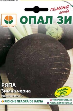 Retek winter Black spanish round Opal Bg