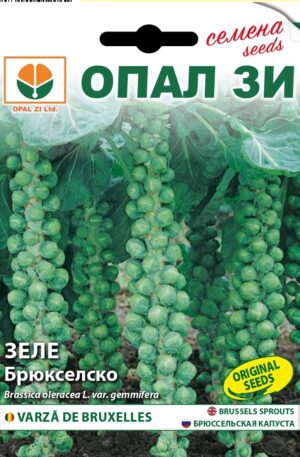 Kelbimbó Brussels  Opal Bg