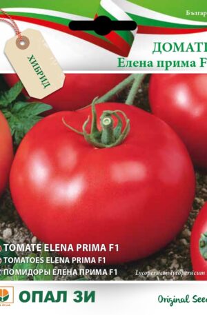 Paradicsom Elena prima F1 Opal Bg