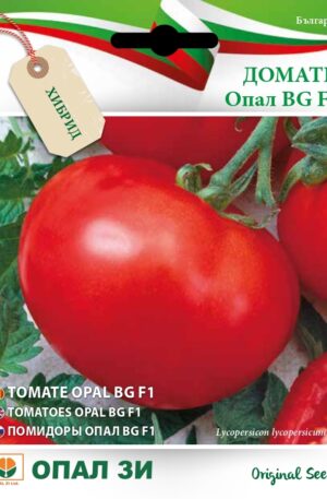 Paradicsom Opal F1 Opal Bg