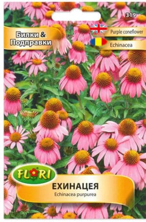 Echinacea Kasvirág Florian Bg