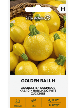 Cukkini Golden Ball Hibrid Z.S SL