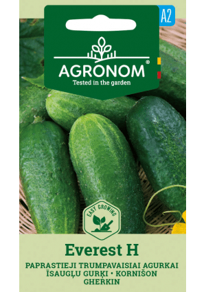 Uborka Everest Hibrid  AGR SL