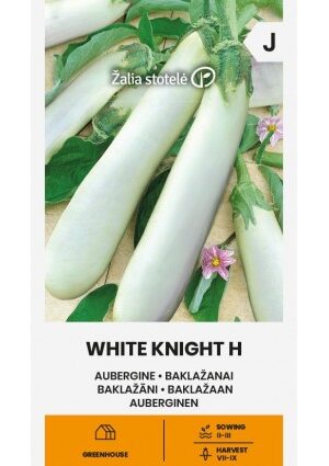 Padlizsán White Knight Hibrid Z.S SL