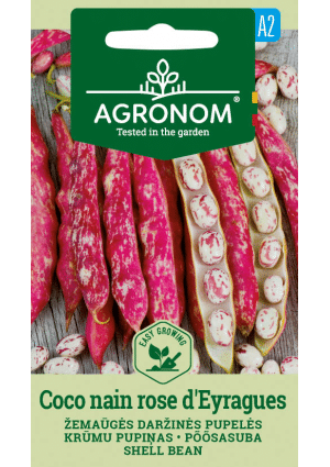 Bab Coco Nain Rose D'eyragues SGR SL