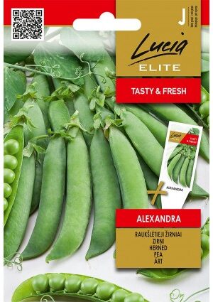 Borsó Alexandra ELN SL