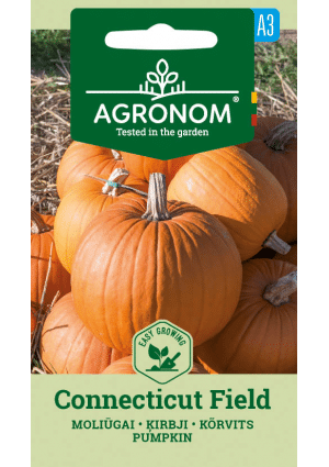 Sütőtök Connecticut Field AGR SL