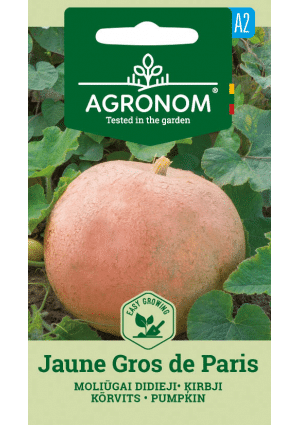 Sütőtök Jaune Gros De Paris AGR SL