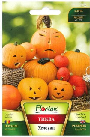 Tök Halloween Florian Bg