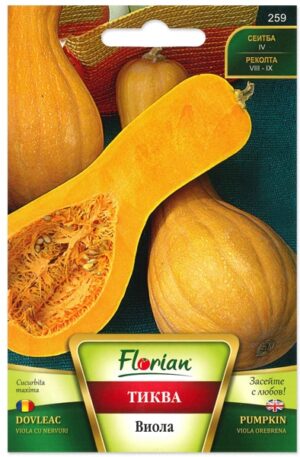 Sütőtök Viola ribbed Florian Bg