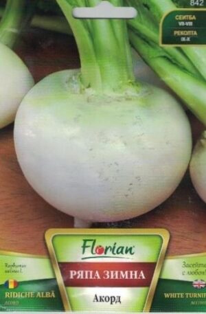 Retek Téli fehér Zimna byala Florian Bg