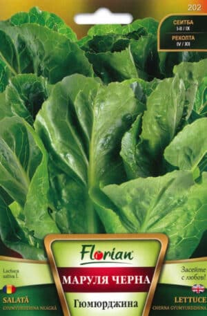 Saláta Cherna Gyumyurdzhina Florian Bg