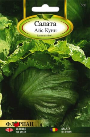 Saláta Ice Queen Florian Bg