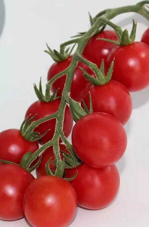 Chicco Rosso F1 Paradicsom