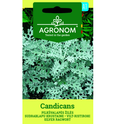 Hamvaska Candicans AGR SL