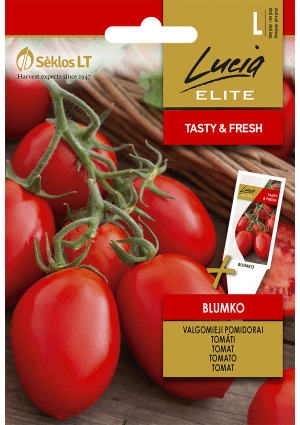 Paradicsom Blumko ELN SL