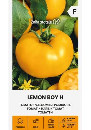 Paradicsom LEMON BOY Hibrid Z.S SL