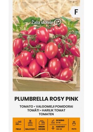 Paradicsom Plumbrella Rosy Pink Z.S SL