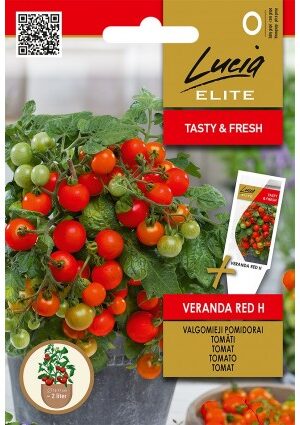 Paradicsom Veranda Red Hibrid  ELN SL