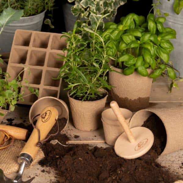 Biológiailag lebomló papír palántanevelő tálca, ültető szett, 3 db-os, S GT257 - Image 3