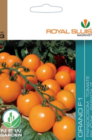 Paradicsom Orano F1 Royal 3