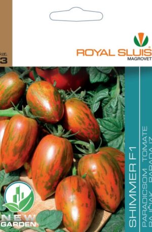 Paradicsom Shimmer F1 Royal 3