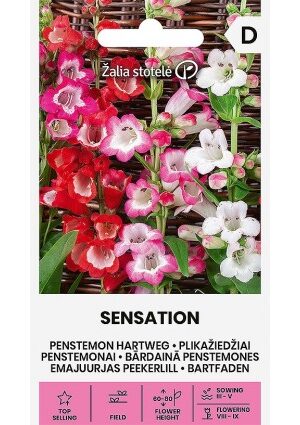 Bugatölcsér Sensation Z.S SL