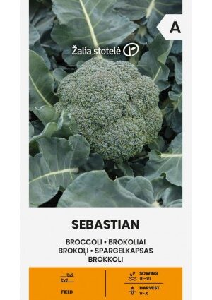 Brokkoli Sebastian Z.S SL