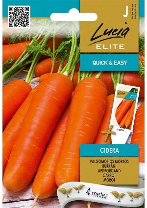 Sárgarépa Cidera magszalagos  ELN SL