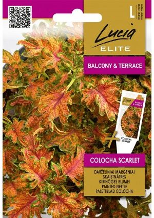 Díszcsalán COLOCHA SCARLET EL SL