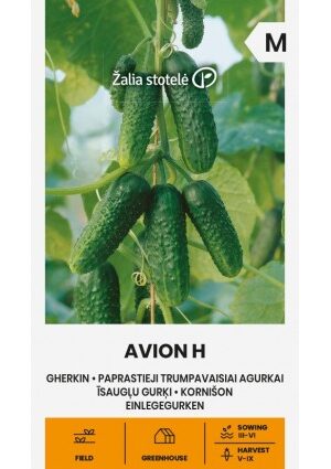 Uborka Avion Hibrid Z.S SL