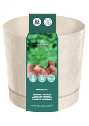 .Borsmenta Cserépben AGR SL