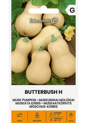 Sütőtök Butterbush Hibrid Z.S SL