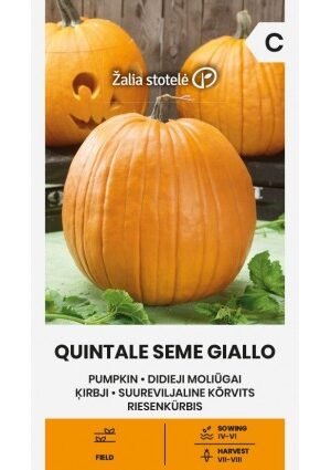 Sütőtök Quintale Seme Giallo Z.S SL