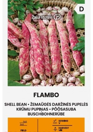 Bab Flambo szárazbab Z.S SL
