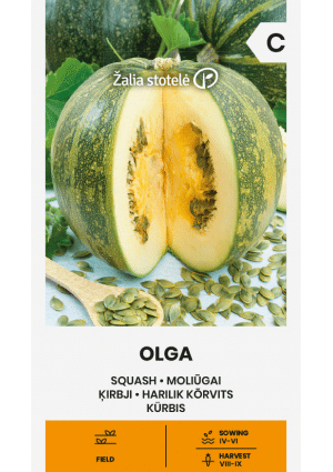 Tök Olga Olajtök Z S SL