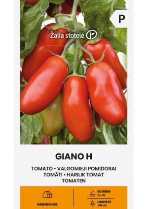 Paradicsom Giano Hibrid Z.S SL