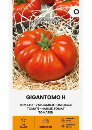 Paradicsom Gigantomo Hibrid Z.S SL