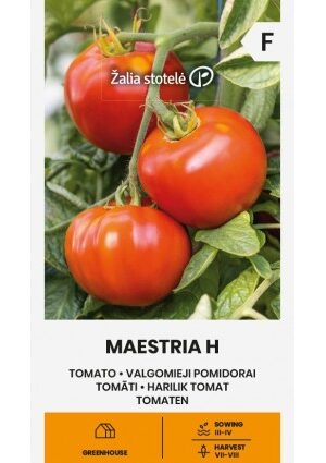 Paradicsom Maestria Hibrid Z.S SL