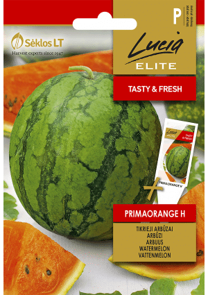 Görögdinnye Primaorange Hibrid  ELN SL